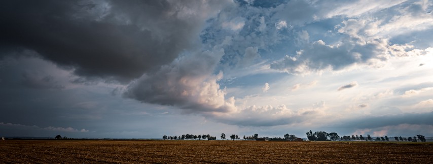 WeatherGuard Services - Meteorological Consultation Services